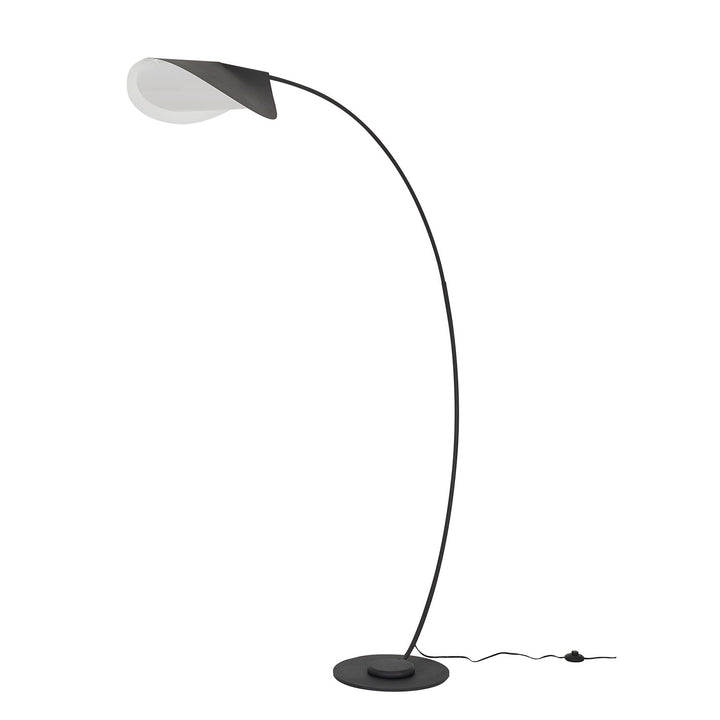 Floor Lamp In Matte Black Finish