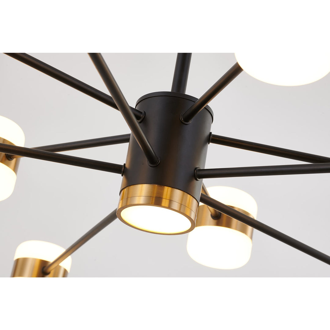 Led Chandelier In Black Finish