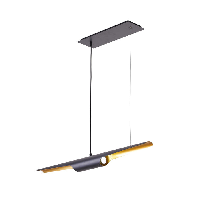 Pendant In Black Finish