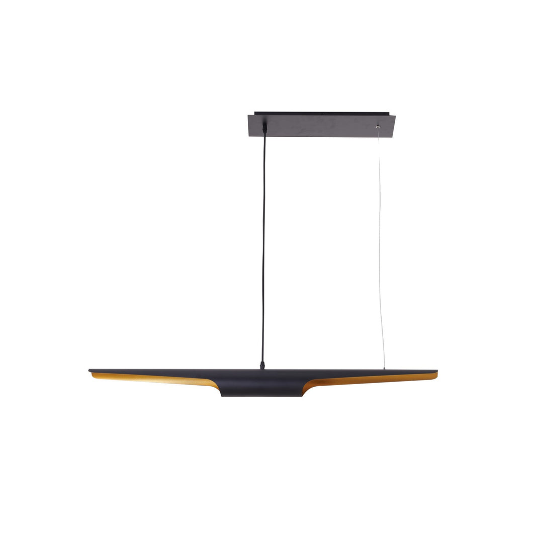 Pendant In Black Finish