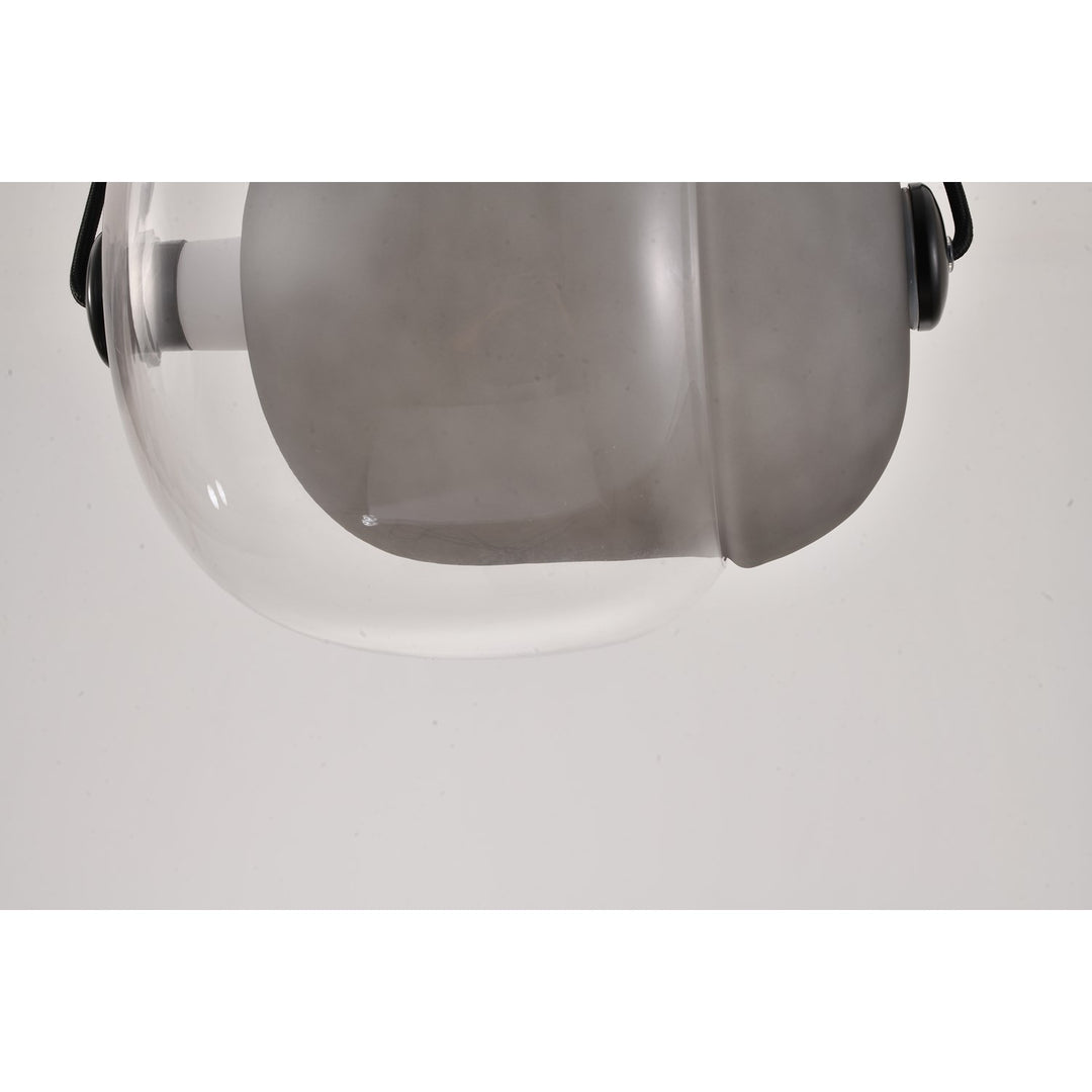 Led Pendant In Smoke & Clear & Black Finish