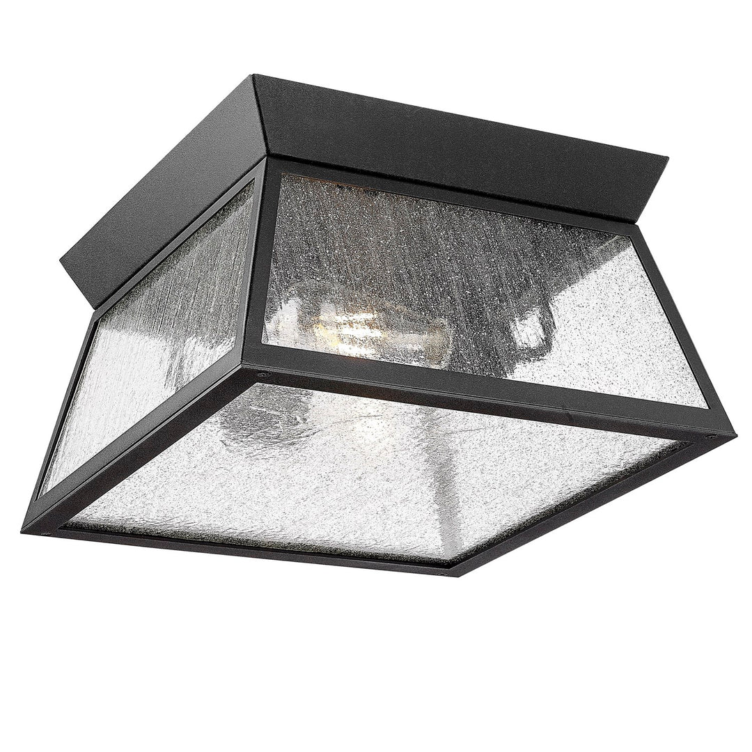 Collection 2-Light Outdoor Flushmount Black