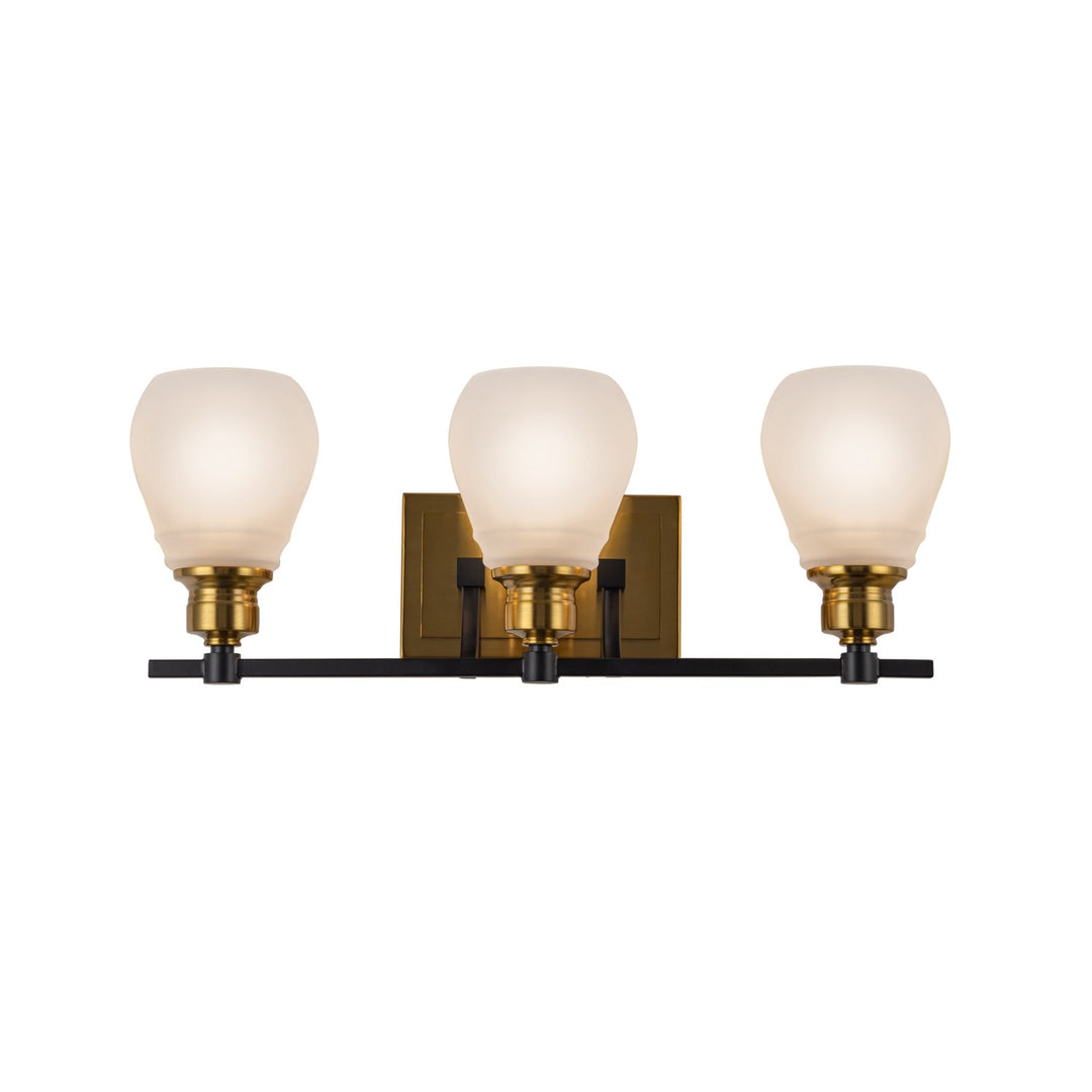 Collection 3-Light Bathroom Brass & Black