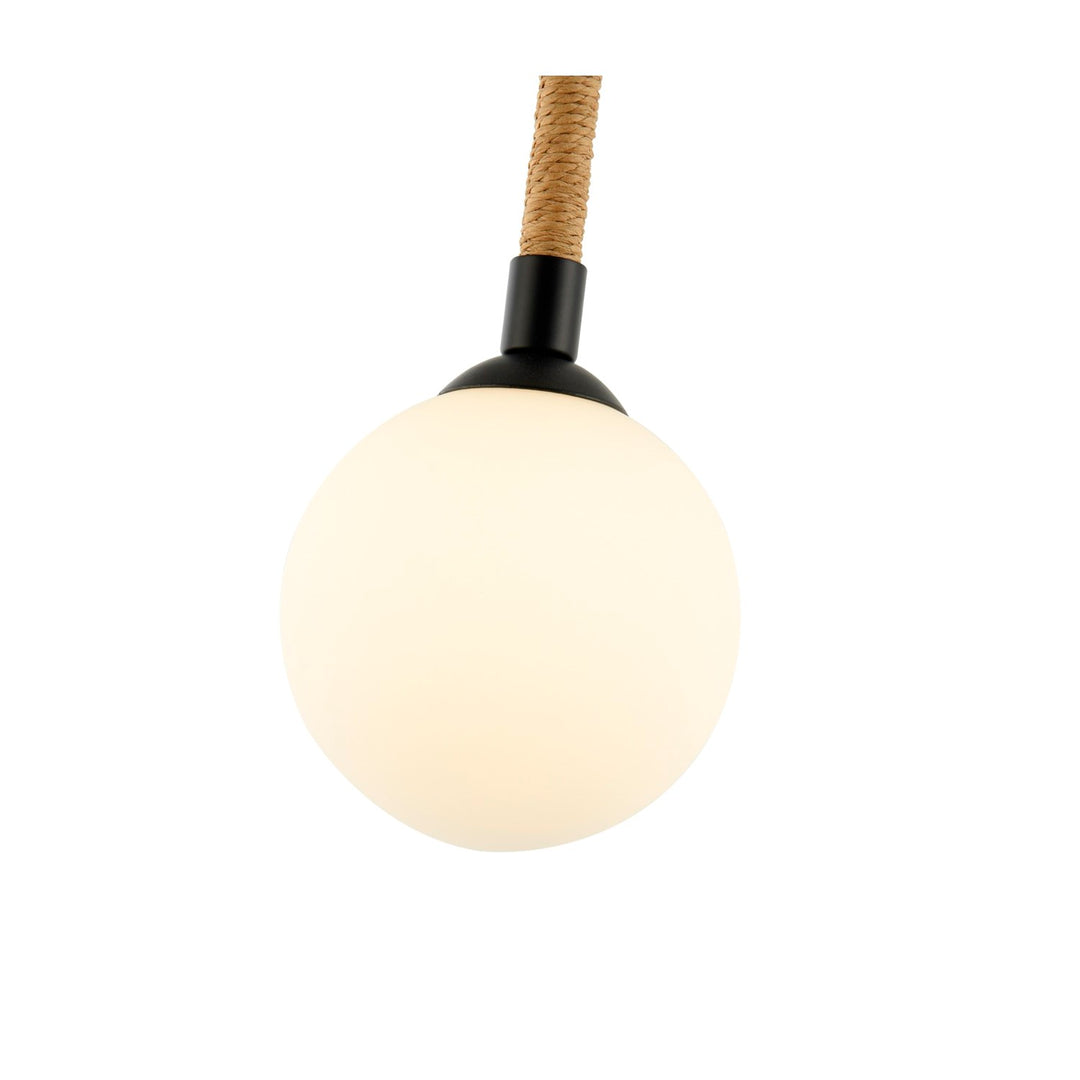 Collection 1-Light Pendant Black