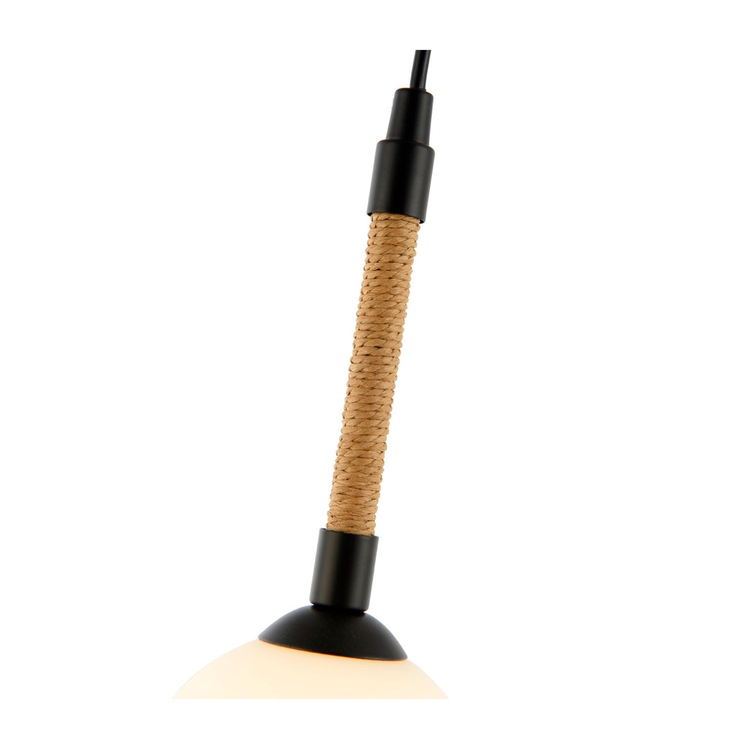 Collection 1-Light Pendant Black