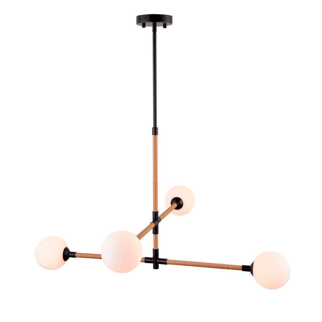 Collection 4-Light Chandelier Black