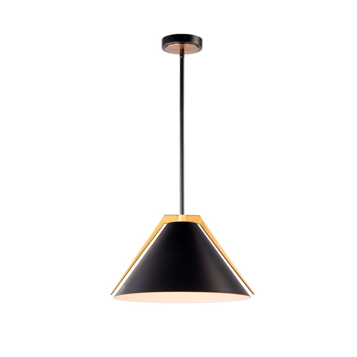 Collection 1-Light Pendant Black And Brushed Brass by Artcraft