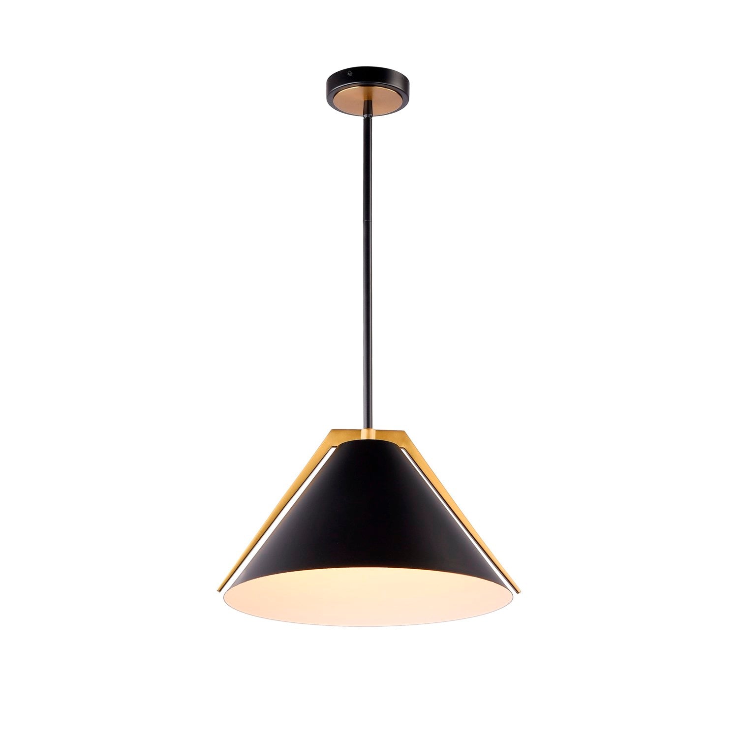 Collection 1-Light Pendant Black And Brushed Brass