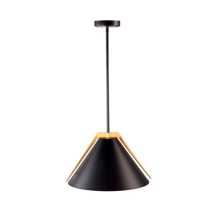 Collection 1-Light Pendant Black And Brushed Brass