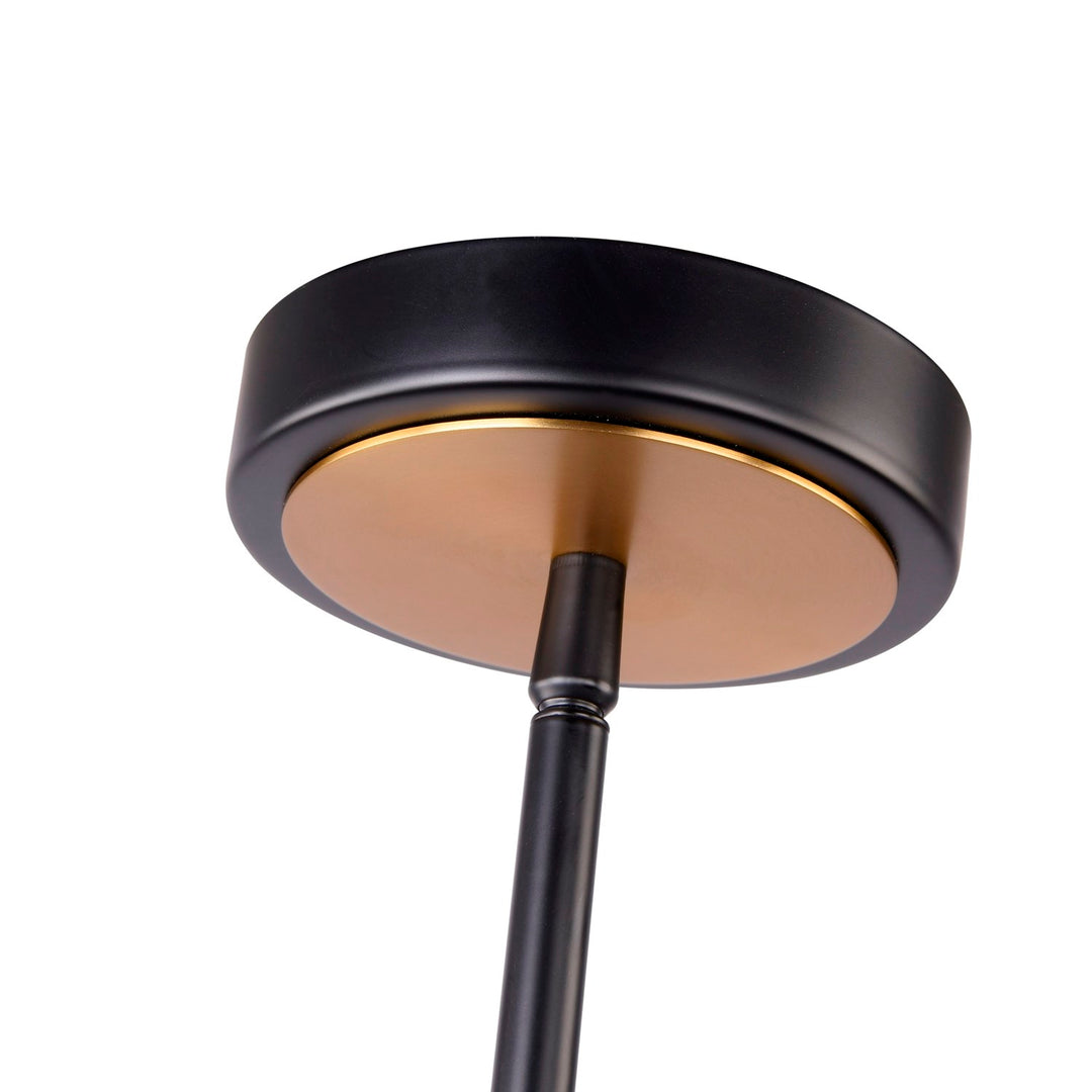 Collection 1-Light Pendant Black And Brushed Brass