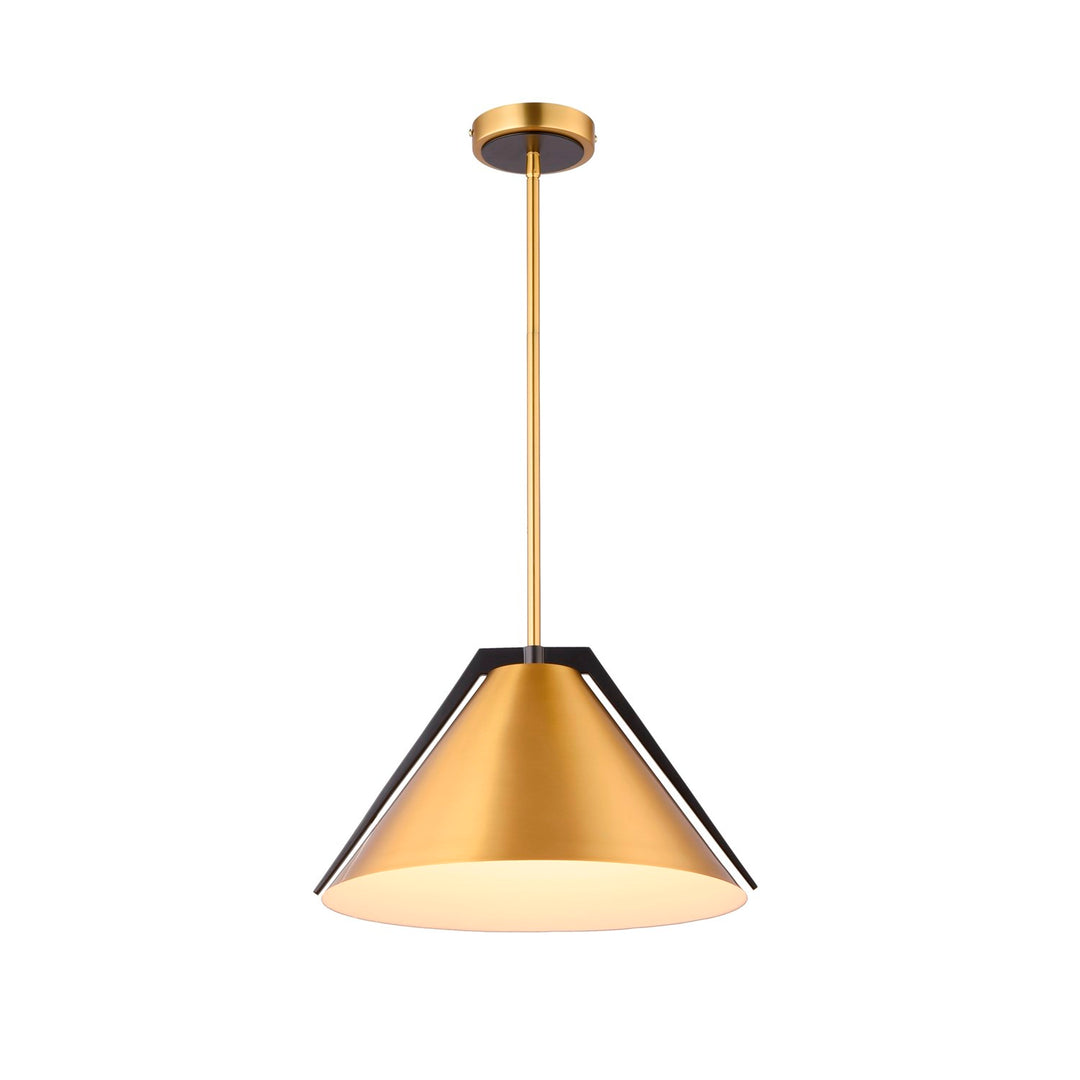Collection 1-Light Pendant Brass And Black