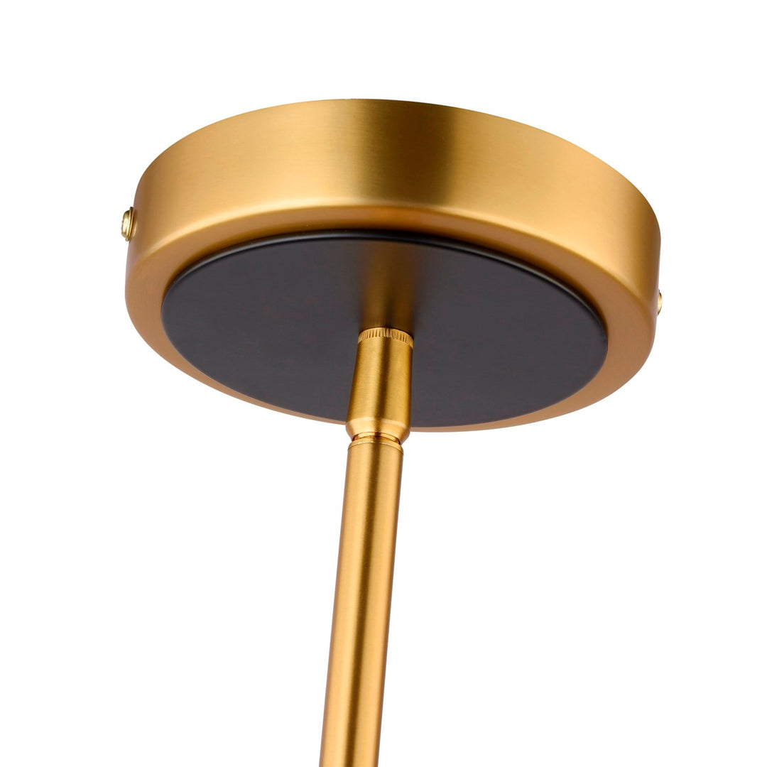 Collection 1-Light Pendant Brass And Black