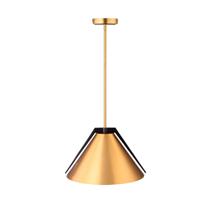 Collection 1-Light Pendant Brass And Black