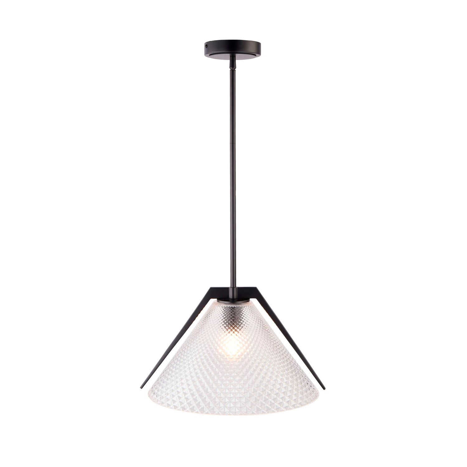 Collection 1-Light Pendant Black