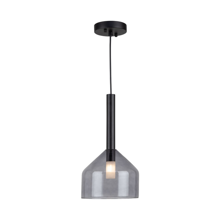 Collection 1-Light Pendant Black