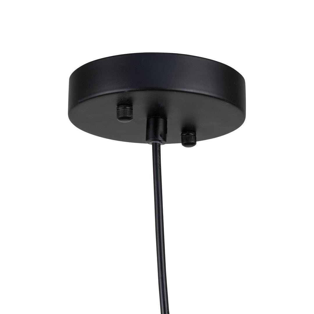 Collection 1-Light Pendant Black
