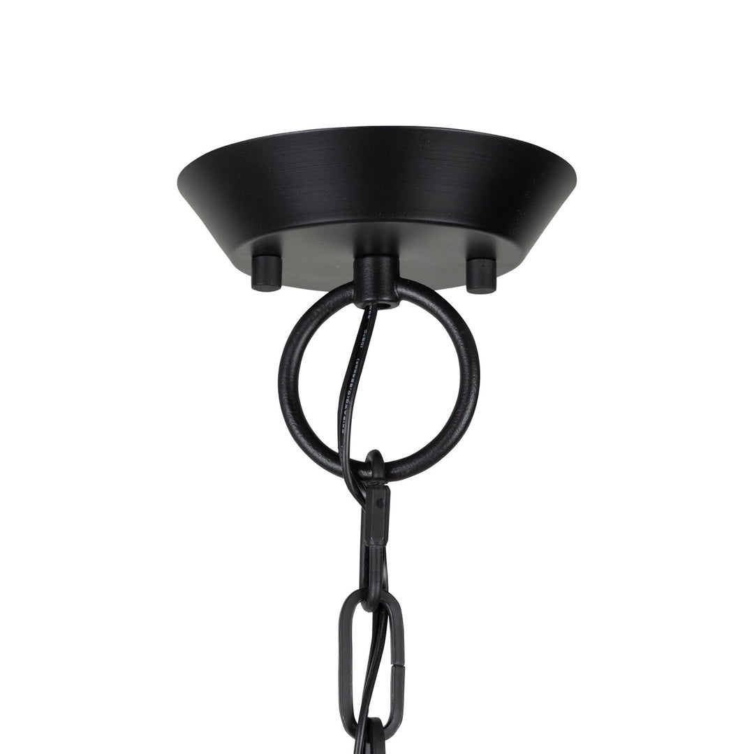 Collection 6-Light Chandelier Black And Brushed Brass