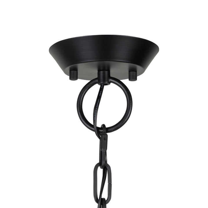 Collection 6-Light Chandelier Black And Brushed Brass
