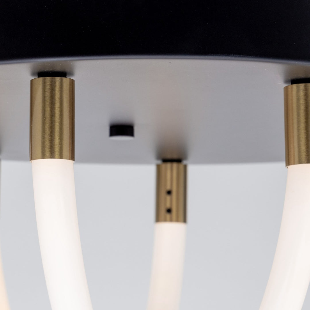 Collection 1-Light Flush Mount Black And Brushed Brass