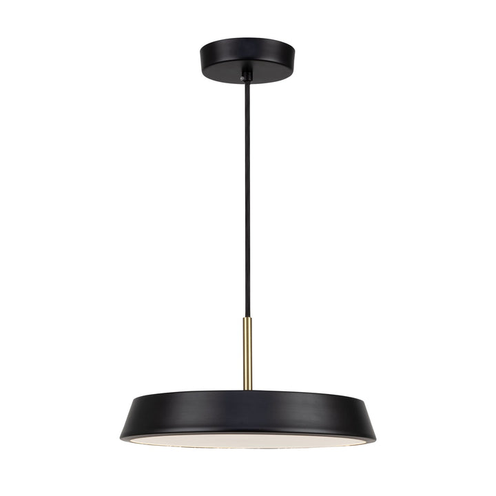 Collection 1-Light 12" Pendant Black