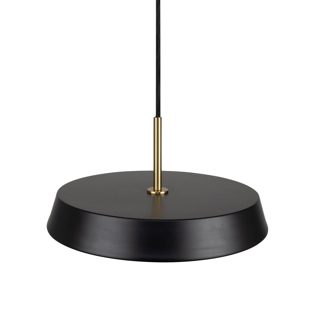 Collection 1-Light 12" Pendant Black