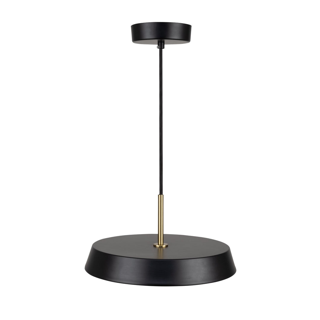 Collection 1-Light 12" Pendant Black