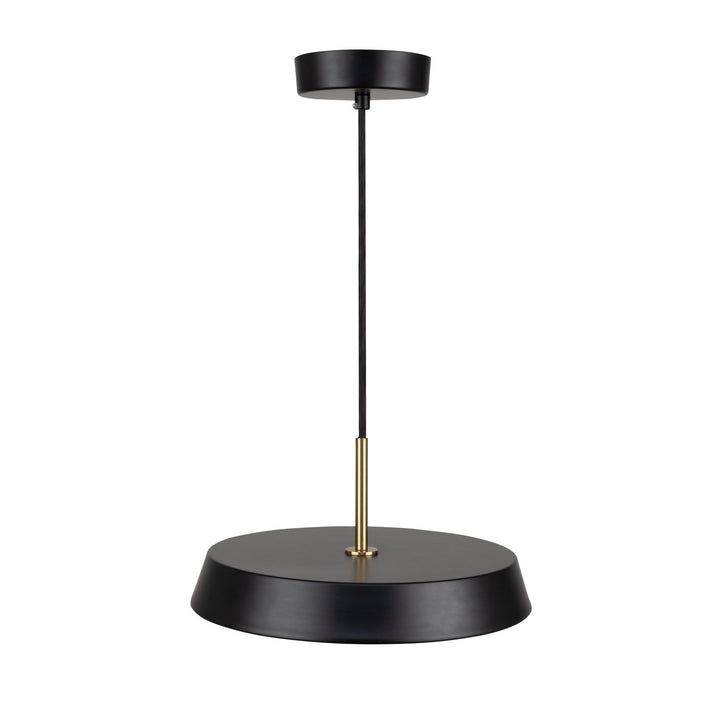 Collection 1-Light 12" Pendant Black