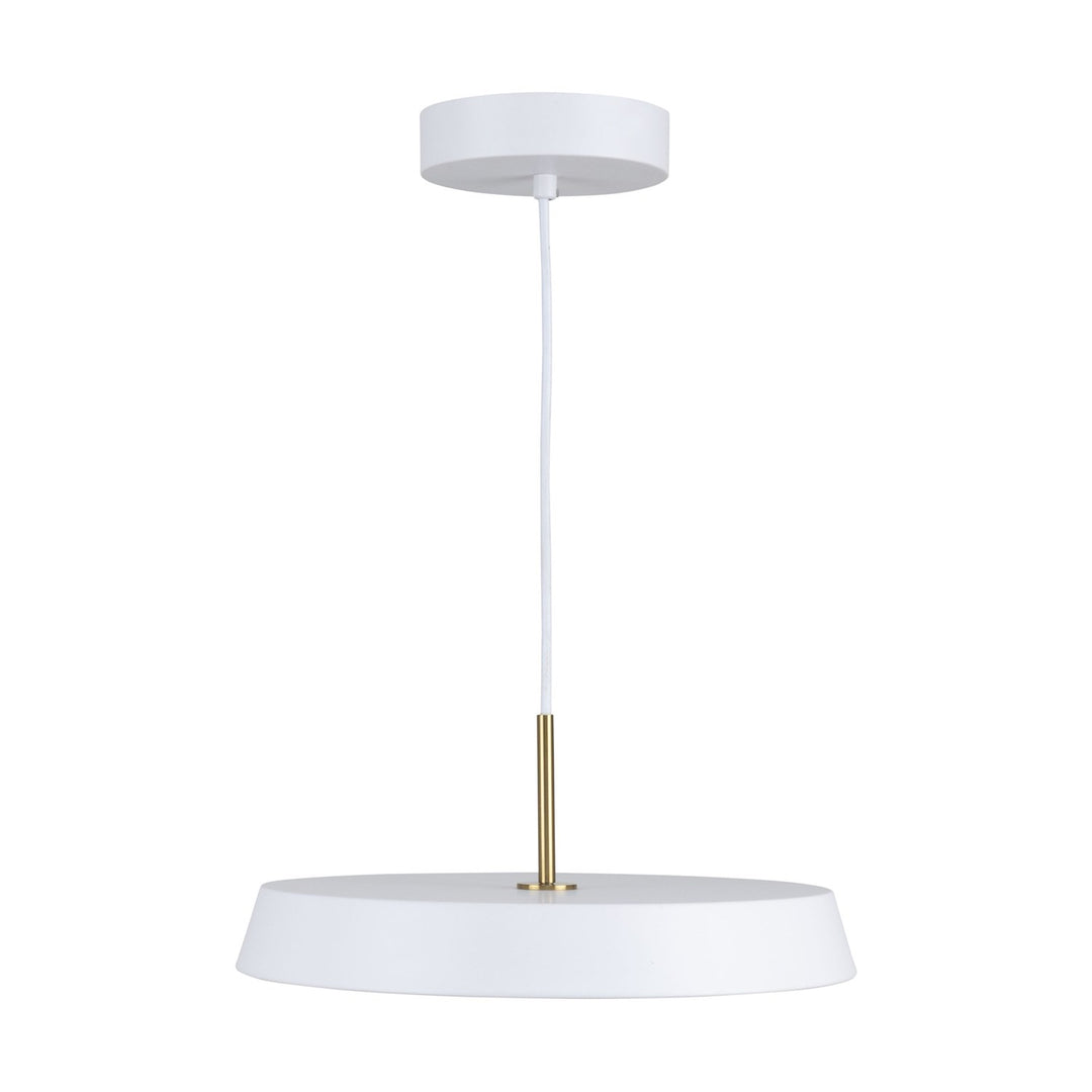 Collection 1-Light 12" Pendant White