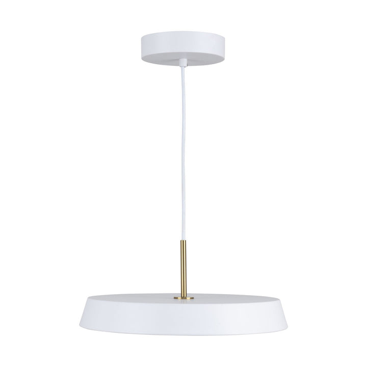 Collection 1-Light 12" Pendant White