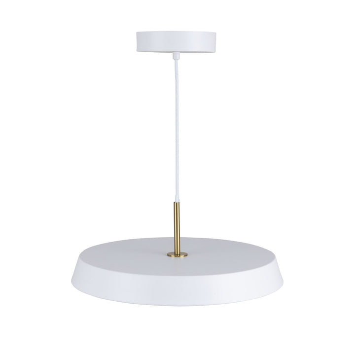 Collection 1-Light 16" Pendant White