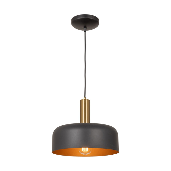 Collection 1-Light Pendant Black And Brushed Brass by Artcraft