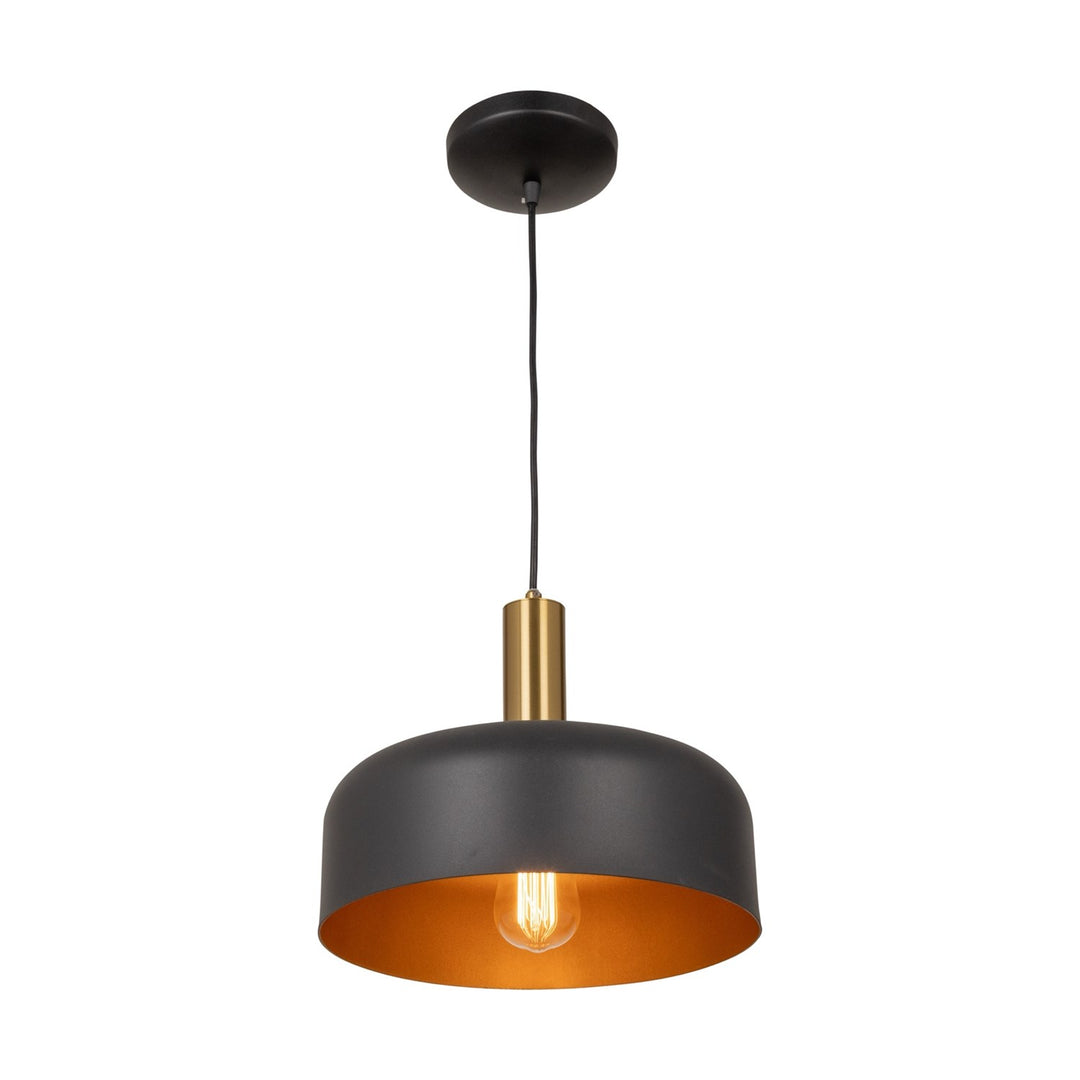 Collection 1-Light Pendant Black And Brushed Brass