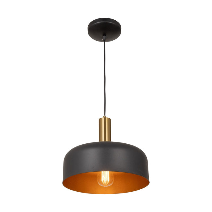 Collection 1-Light Pendant Black And Brushed Brass