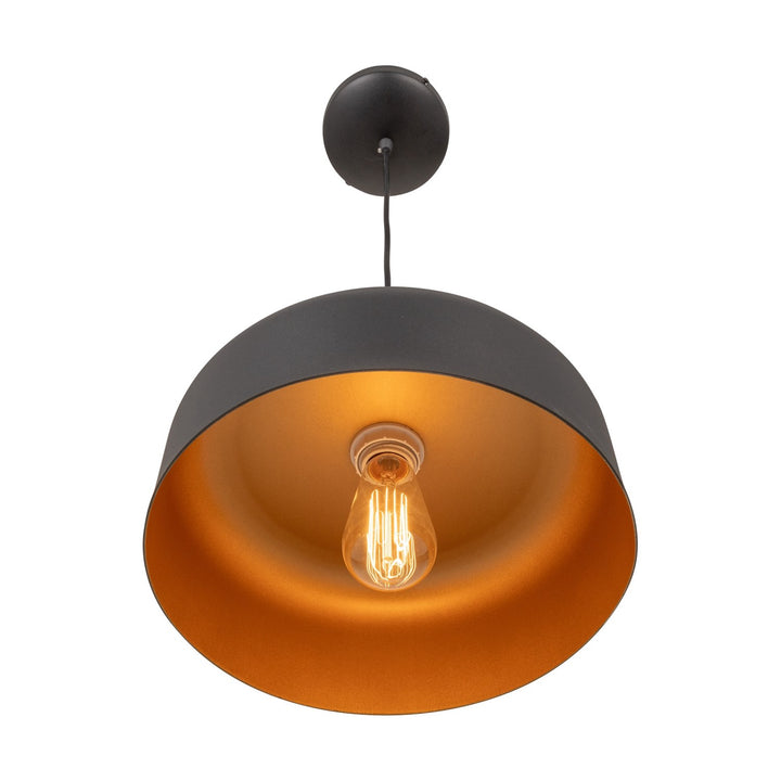 Collection 1-Light Pendant Black And Brushed Brass