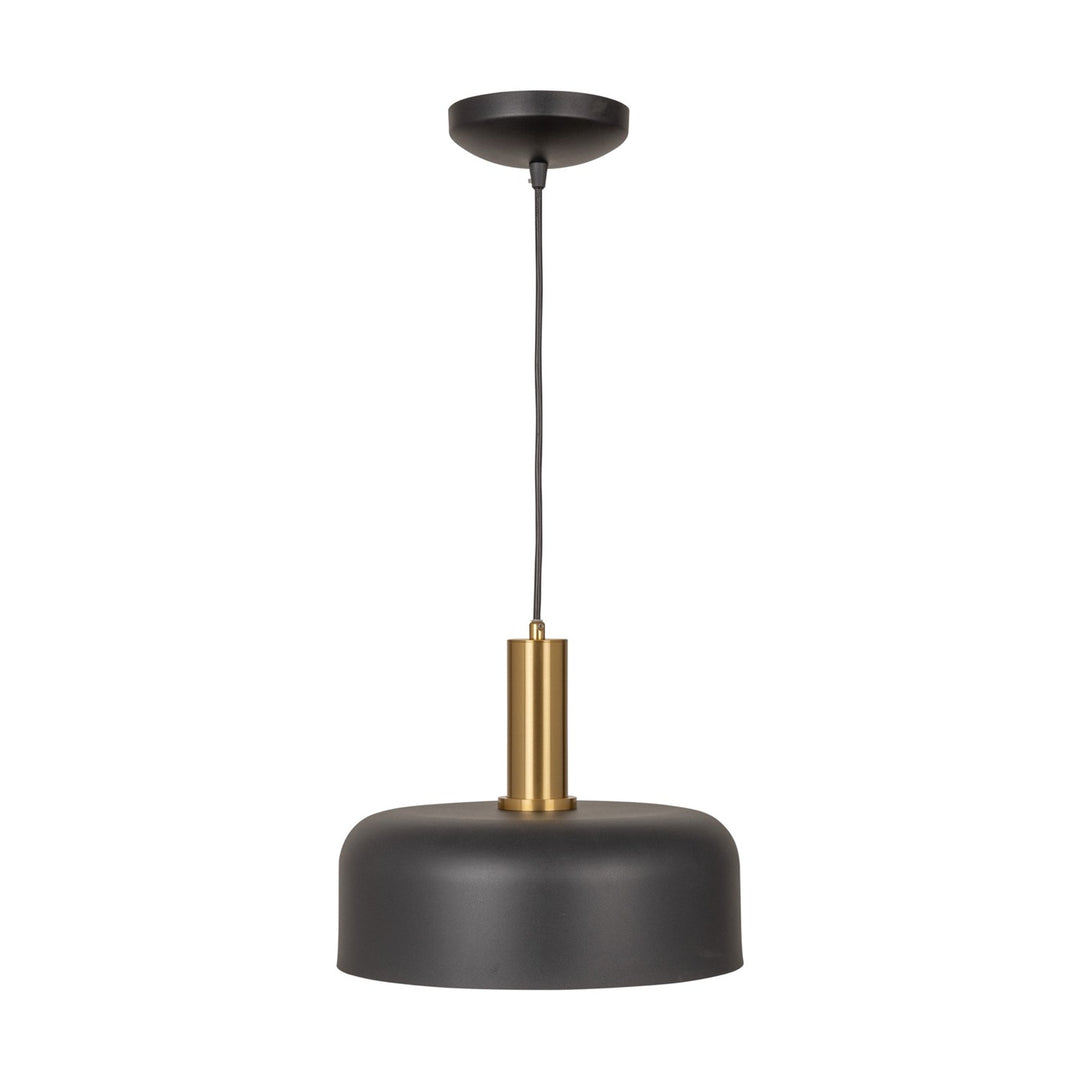 Collection 1-Light Pendant Black And Brushed Brass