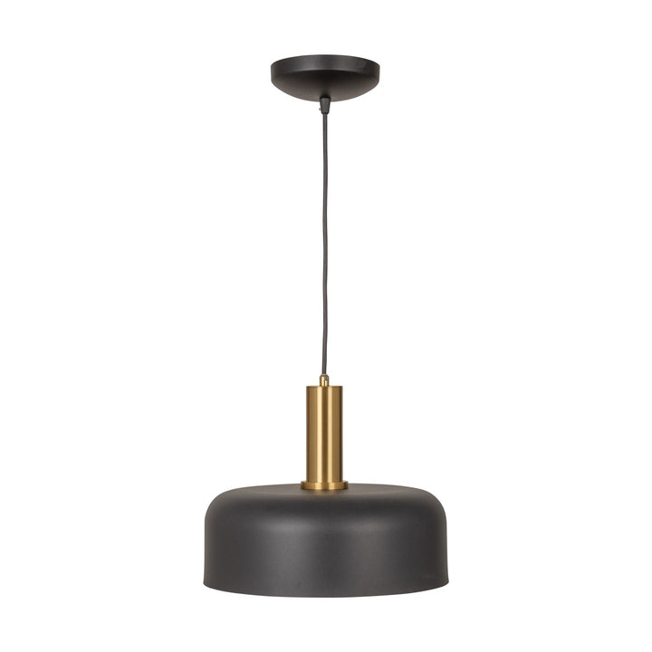 Collection 1-Light Pendant Black And Brushed Brass