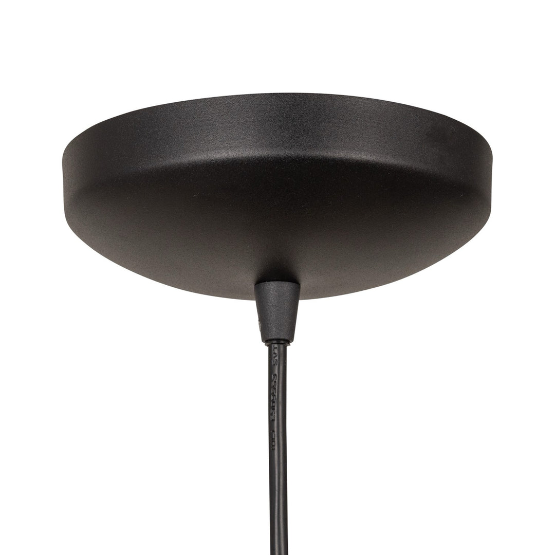 Collection 1-Light Pendant Black And Brushed Brass