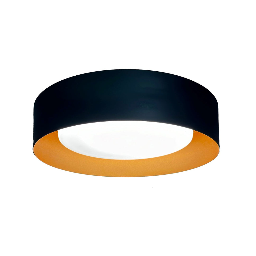 Collection 1-Light Flush Mount Black And Brushed Brass