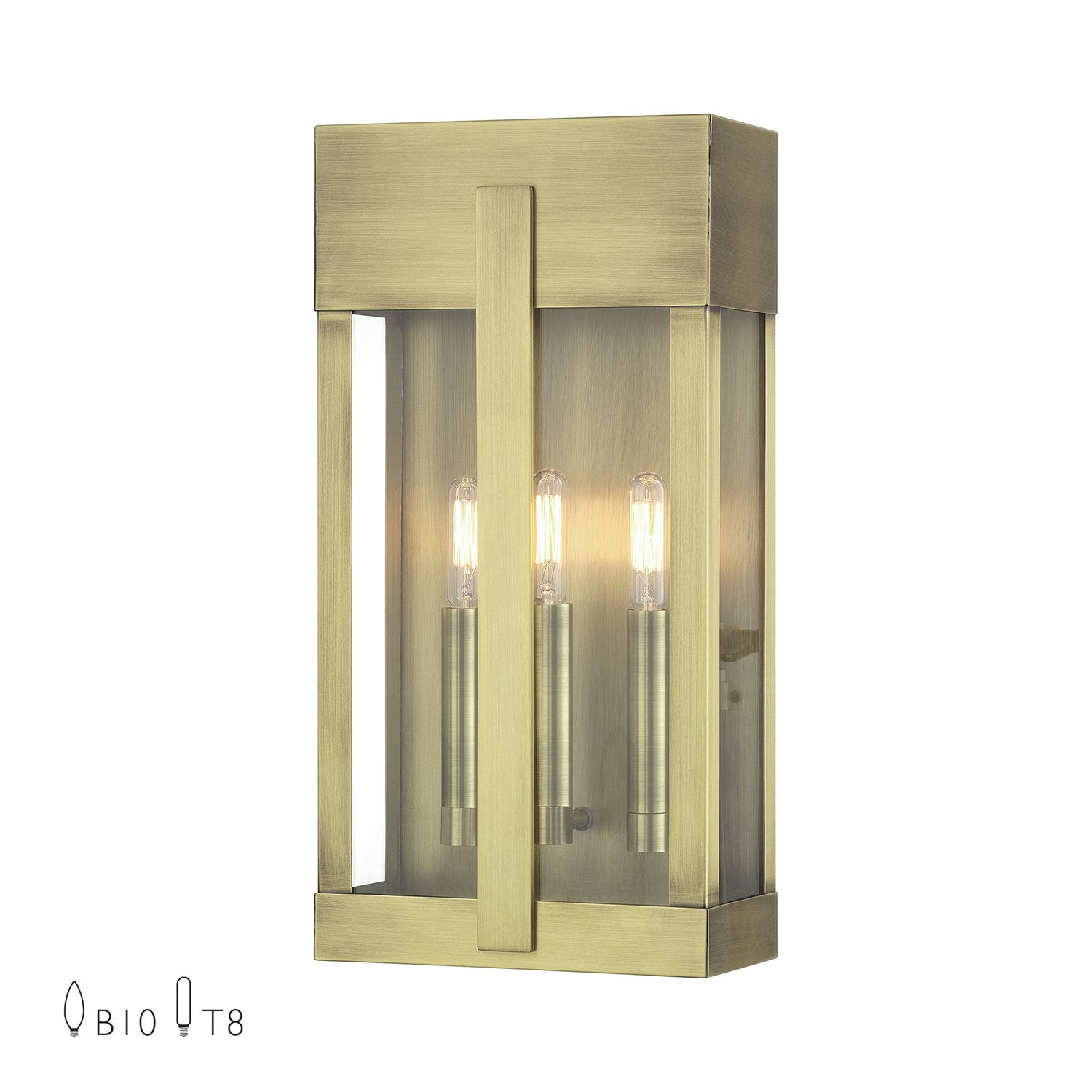 2 Light Antique Brass Large Outdoor Wall Lantern With Clear Glass by Livex Lighting