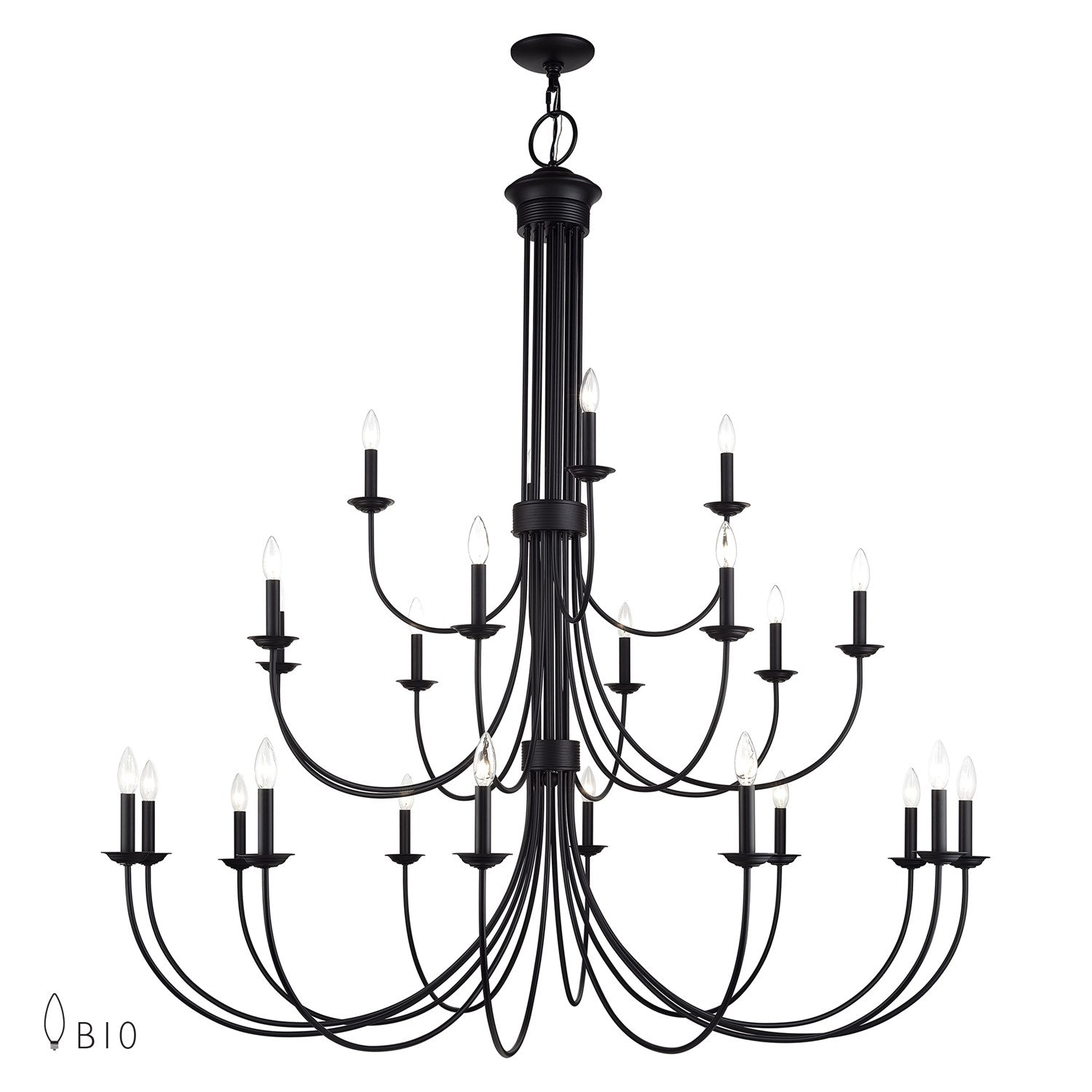 24 Light Black Grande Foyer Chandelier by Livex Lighting