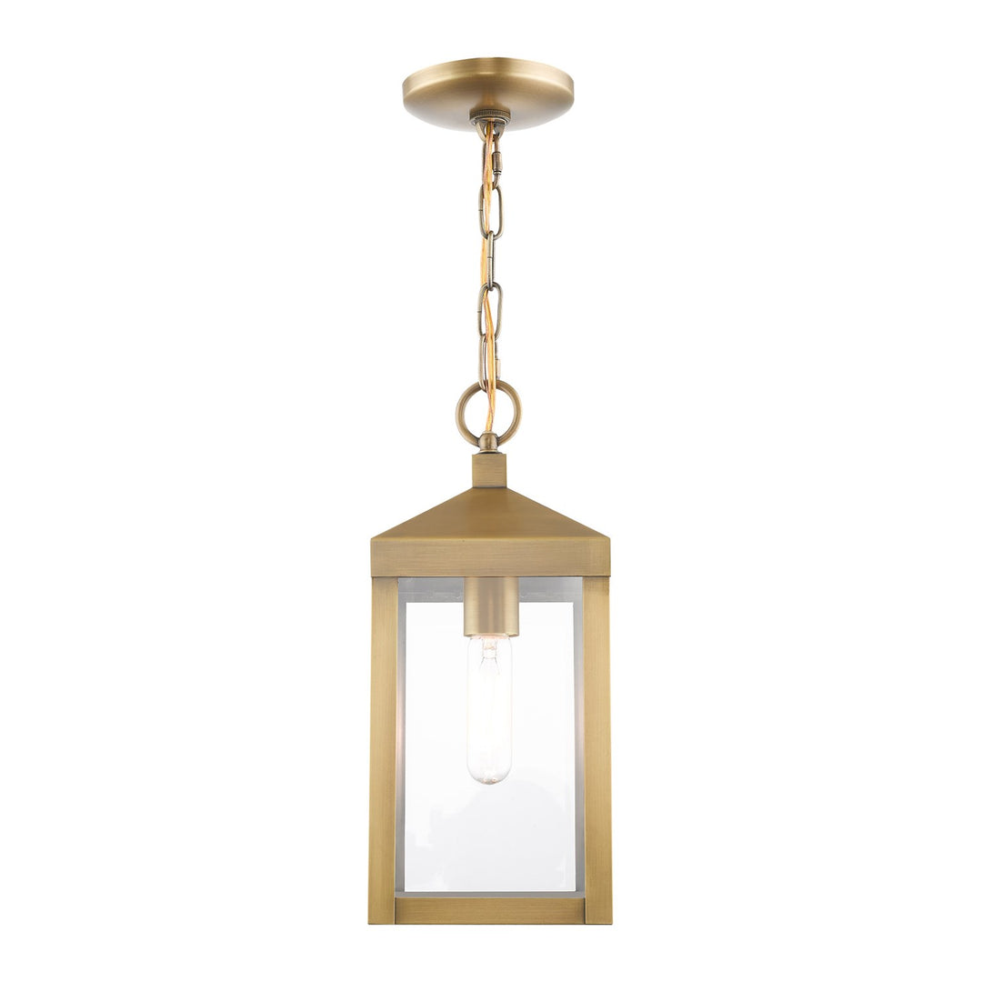 1 Light Antique Brass Outdoor Pendant Lantern