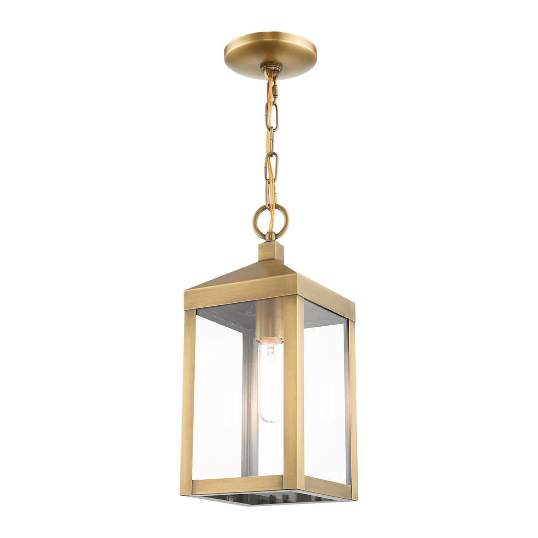 1 Light Antique Brass Outdoor Pendant Lantern