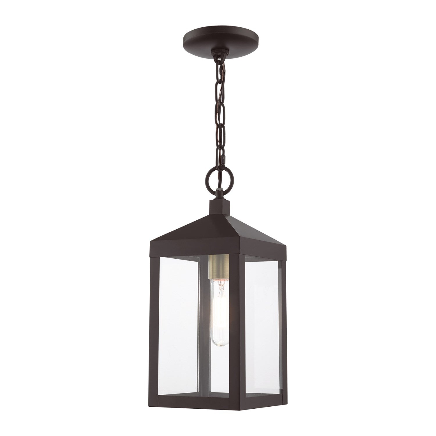1 Light Bronze Outdoor Pendant Lantern by Livex Lighting