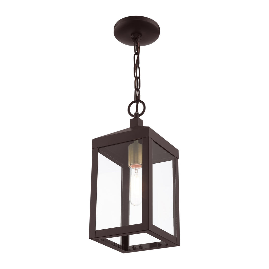 1 Light Bronze Outdoor Pendant Lantern
