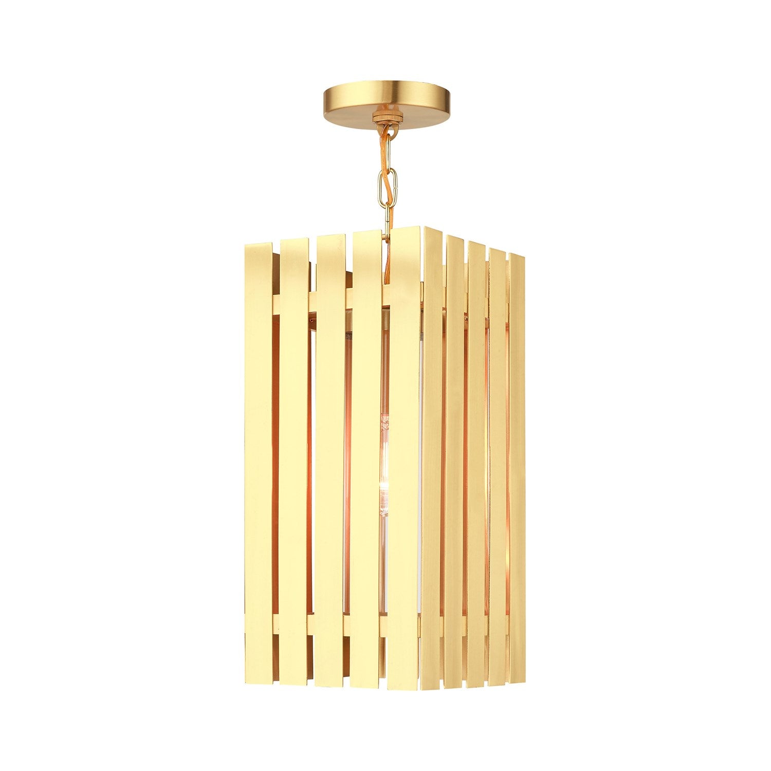 1 Light Satin Brass Outdoor Pendant Lantern by Livex Lighting