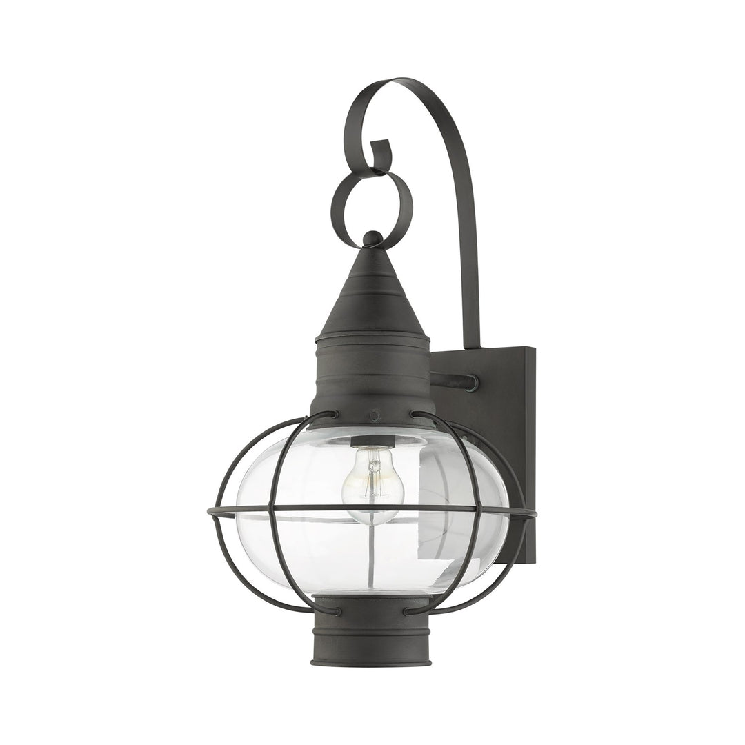 1 Light Charcoal Outdoor Wall Lantern