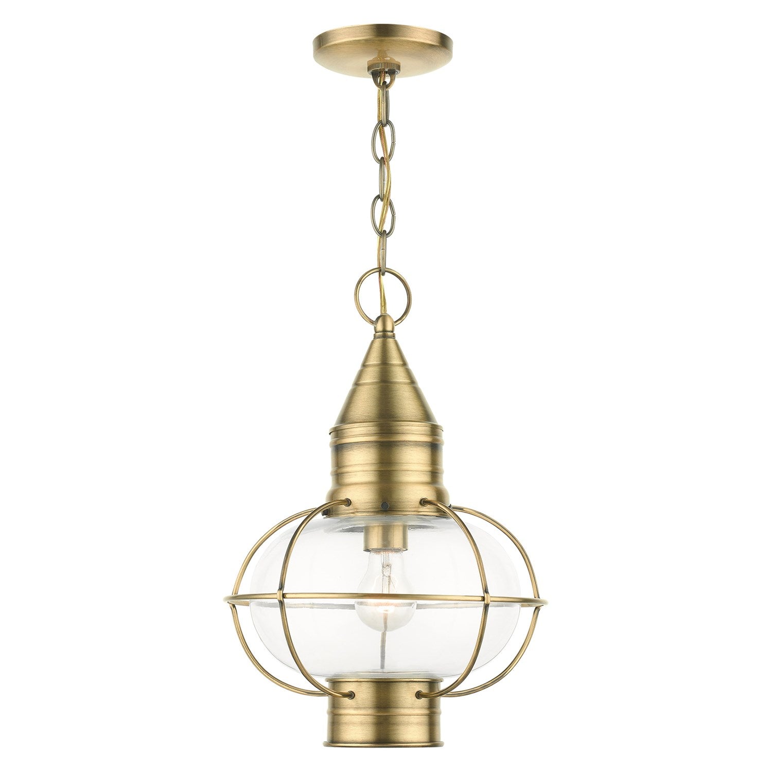1 Light Antique Brass Outdoor Pendant Lantern by Livex Lighting