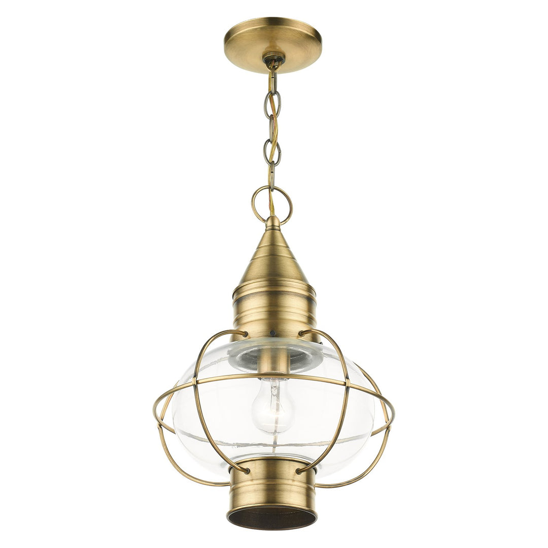 1 Light Antique Brass Outdoor Pendant Lantern