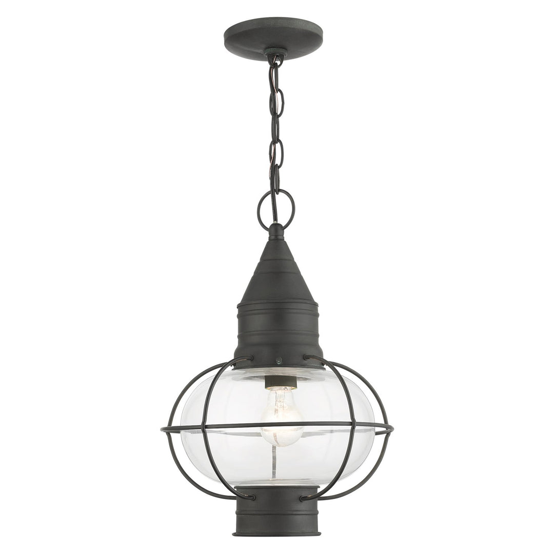 1 Light Charcoal Outdoor Pendant Lantern by Livex Lighting