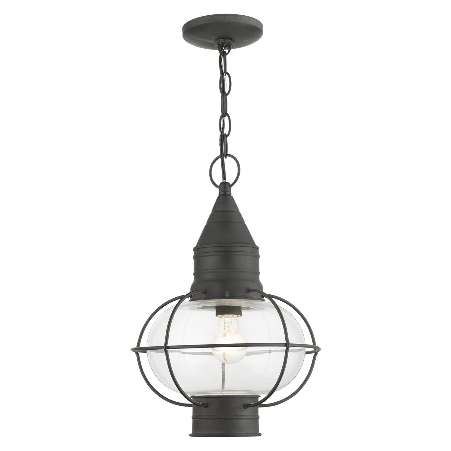 1 Light Charcoal Outdoor Pendant Lantern by Livex Lighting